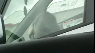 Goli jeni na plaja bg Мастурбираш на зрял