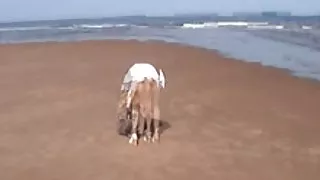 Хубава porno com bg храст