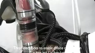 Чанта Роза доминира Лорелей лий