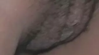 Живак абанос Анален