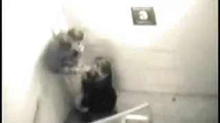 Balgarsko bezplatno porno Публичен секс уловен от камера за сигурност 001