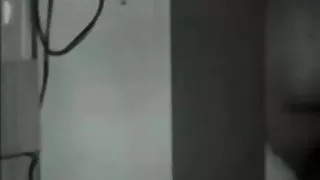 Galena sex Италиански рогоносец