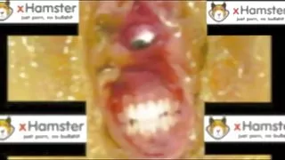 Постоянен - Постоянен Вика