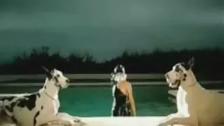 Българско порно безплатно Лейди Гага БЖ (фиг.