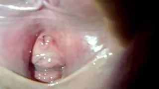 Чели seks video bg сквирт